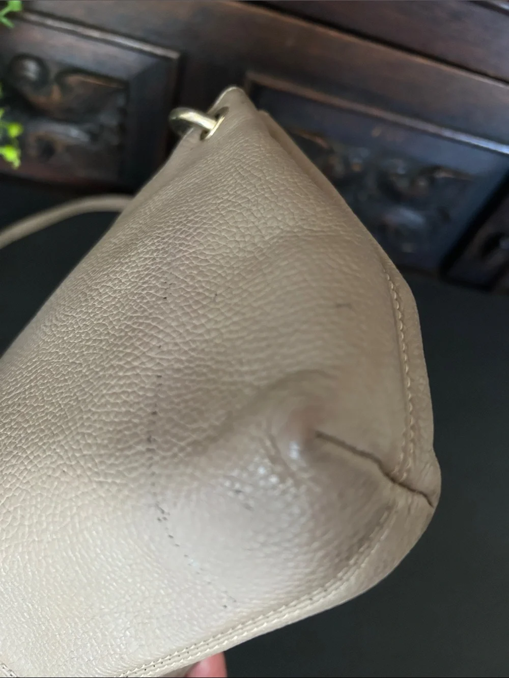 Coach Leather Crossbody Bag in Taupe with Embossed Carriage